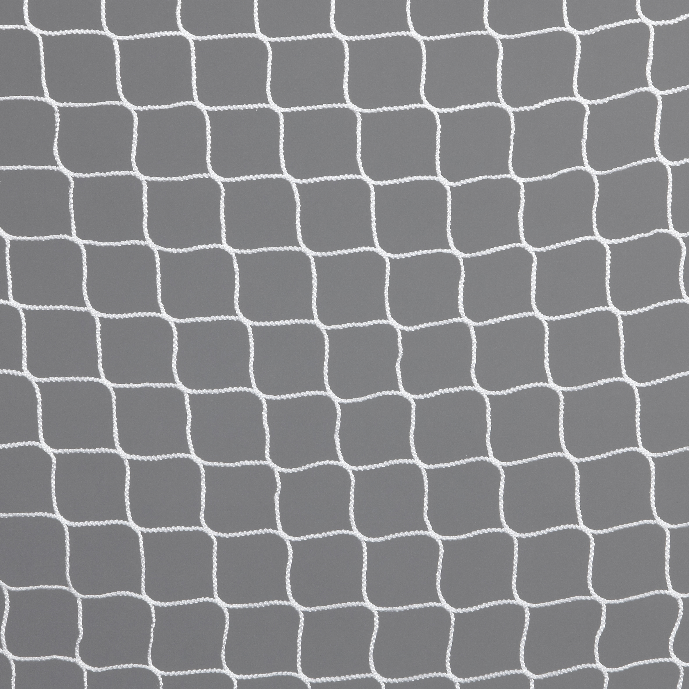 Protective Ceiling Netting - Pro Net Sports